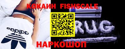 индика Гатчина