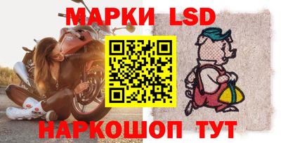 индика Гатчина