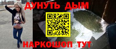 индика Гатчина