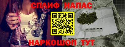 стаф Гусев