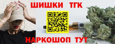 индика Гатчина