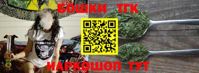 индика Гатчина