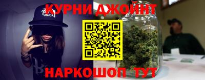гидра Гагарин