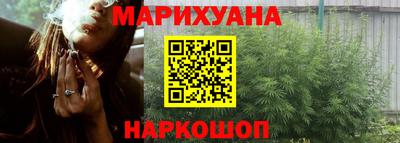 индика Гатчина