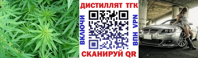 ТГК концентрат  Владимир 