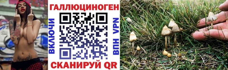 Галлюциногенные грибы GOLDEN TEACHER  даркнет сайт  Владимир 
