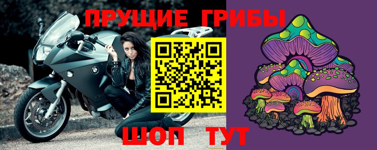 Псилоцибиновые грибы Psilocybine cubensis Владимир